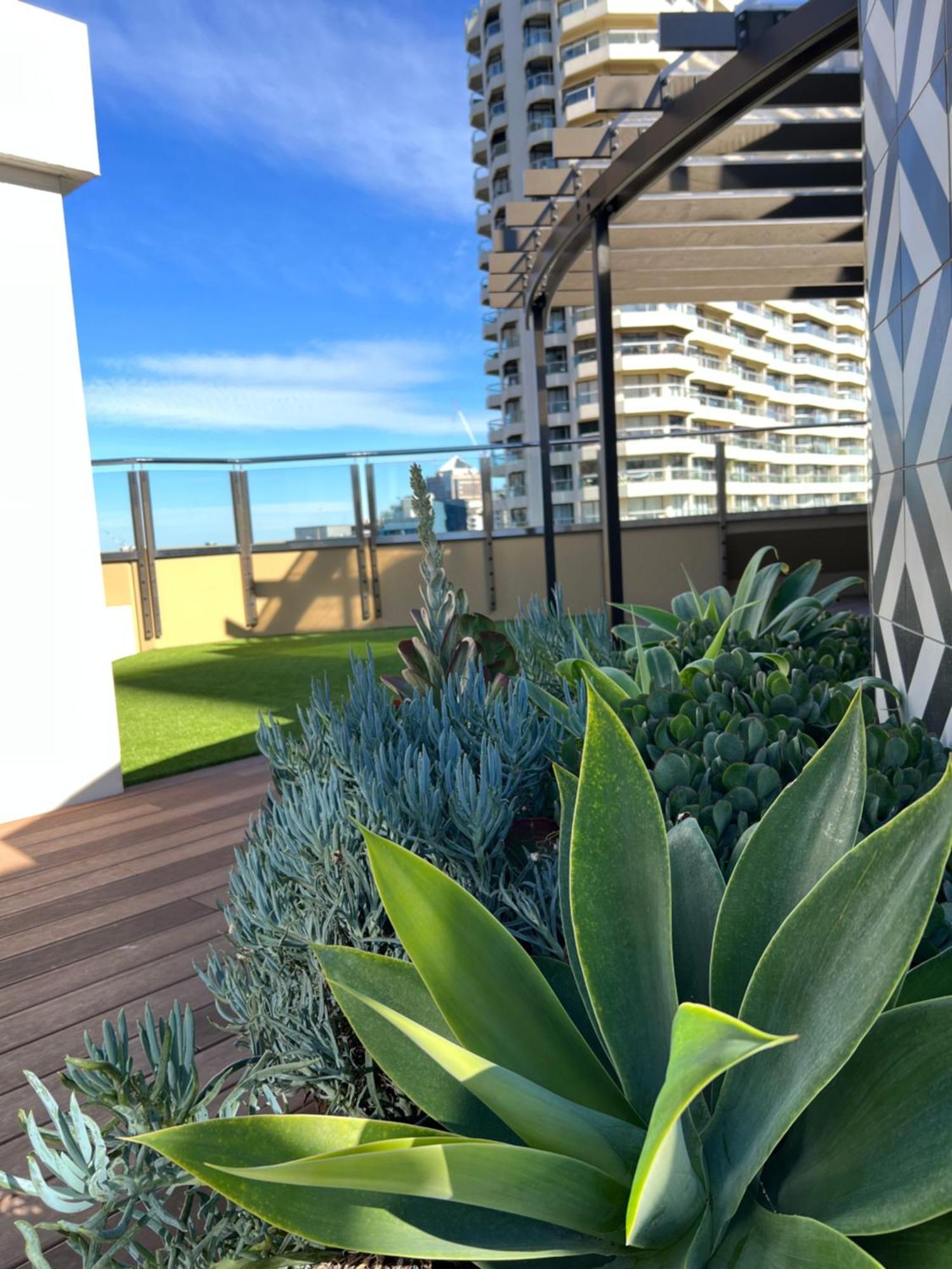 Sydney Hyde Park Private Apartments By Paxsafe Luaran gambar